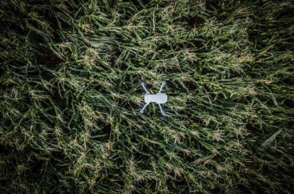 Il futuro dell’agricoltura tra Gestione del Rischio e&nbsp;Innovazione Digitale